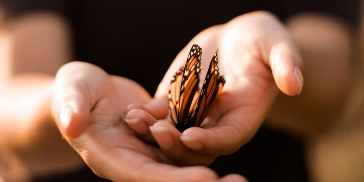 Séances de pratique  # 30/01/2021