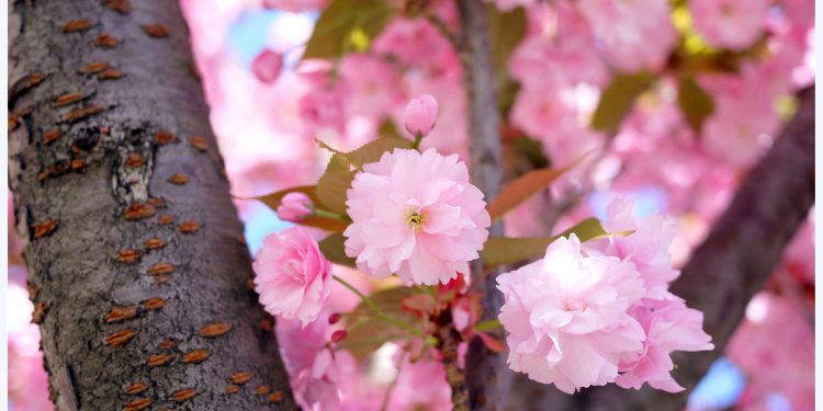 Séances de pratique #20/03/2021