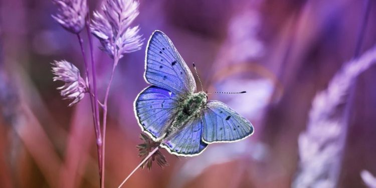 Séances de pratique  #15/05/2021