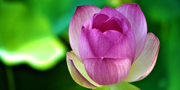 Séances de pratique  #31/07/2021