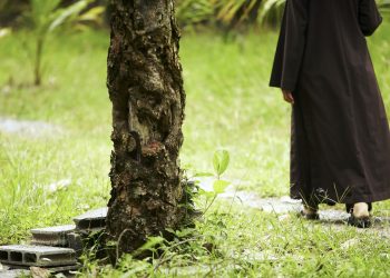 La Balade 4 Saisons – Dimanche 26 novembre