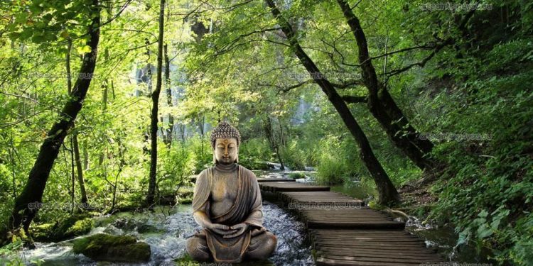 Prochains Événements au Centre Zen de Liège