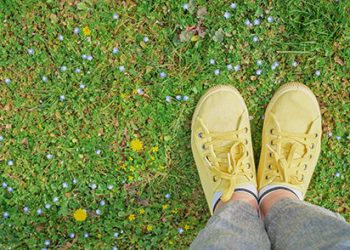 Balade de printemps ce dimanche 29 mars